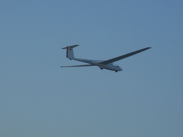 Planeando en pleno vuelo.JPG 